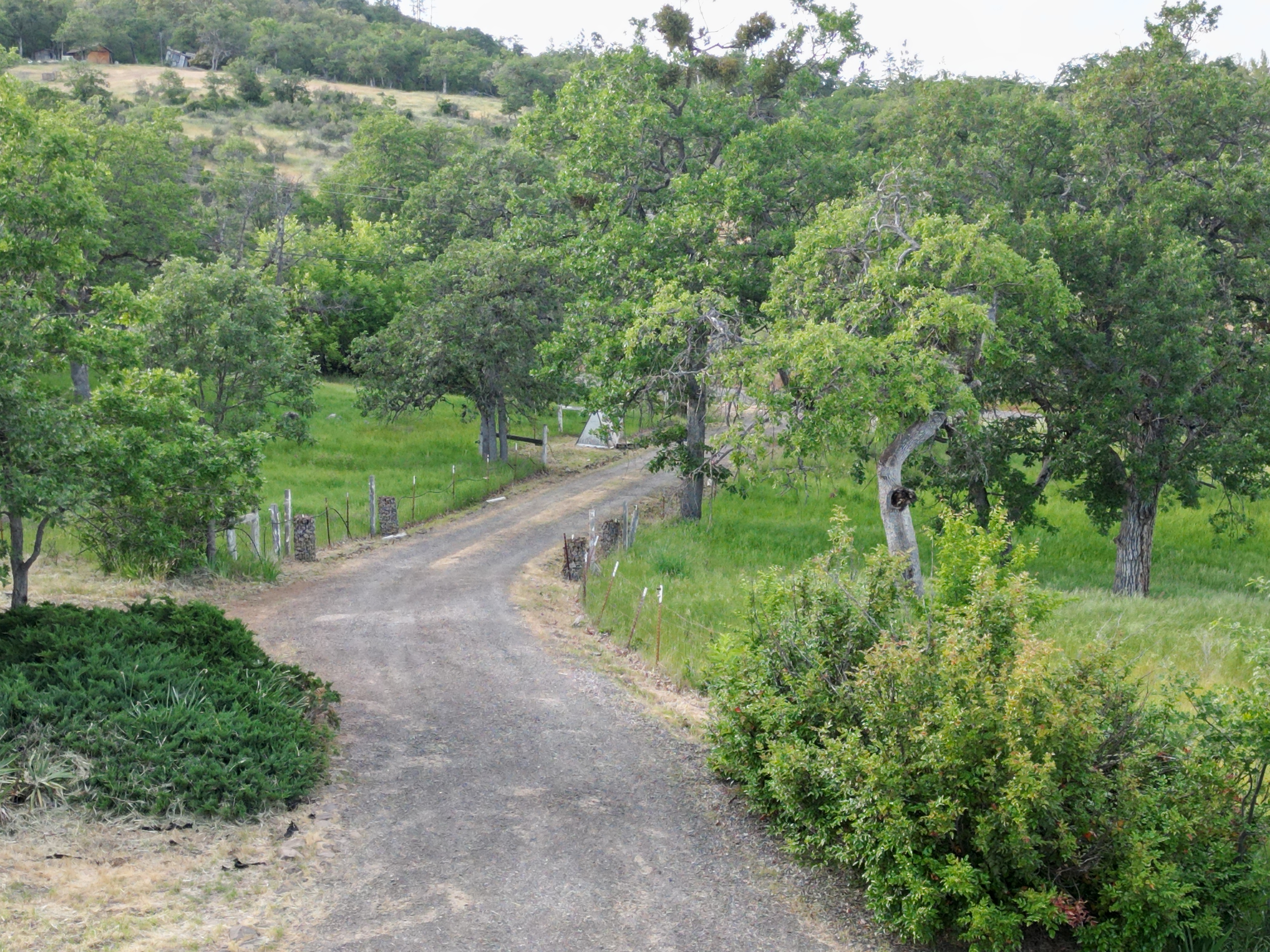 Rolling Hills