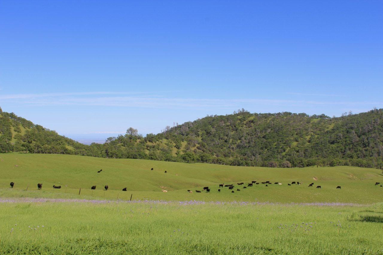 Listing Image 55