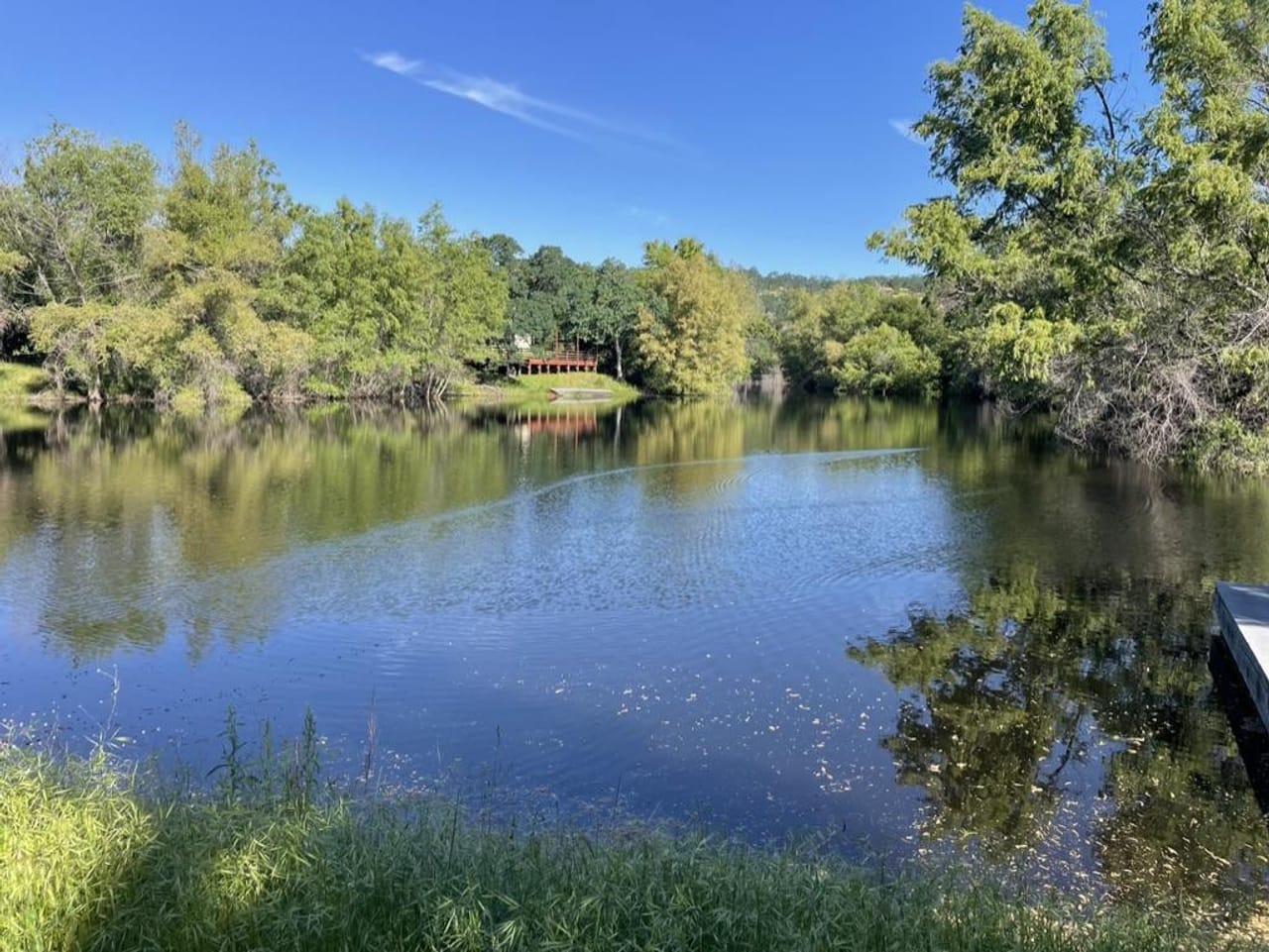 Listing Image 34
