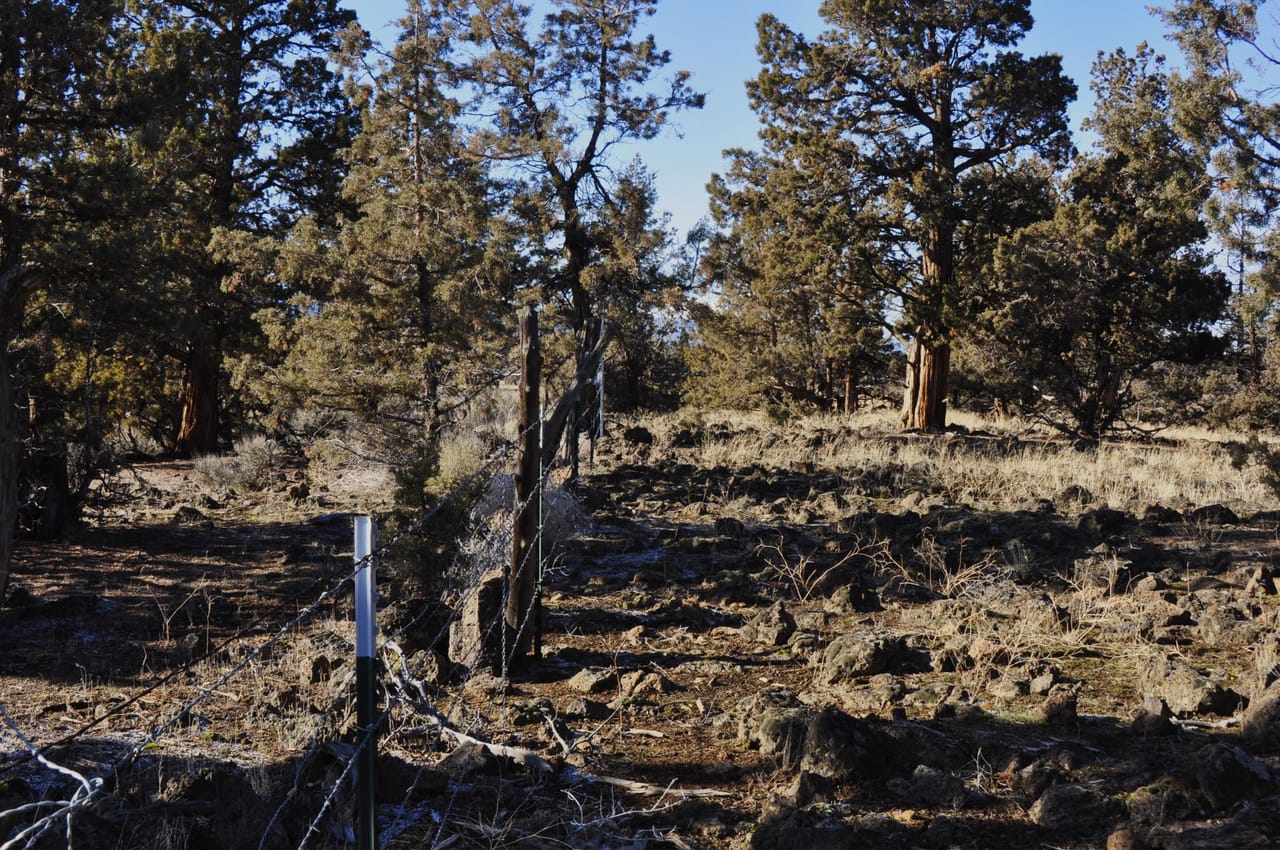 Listing Image 18