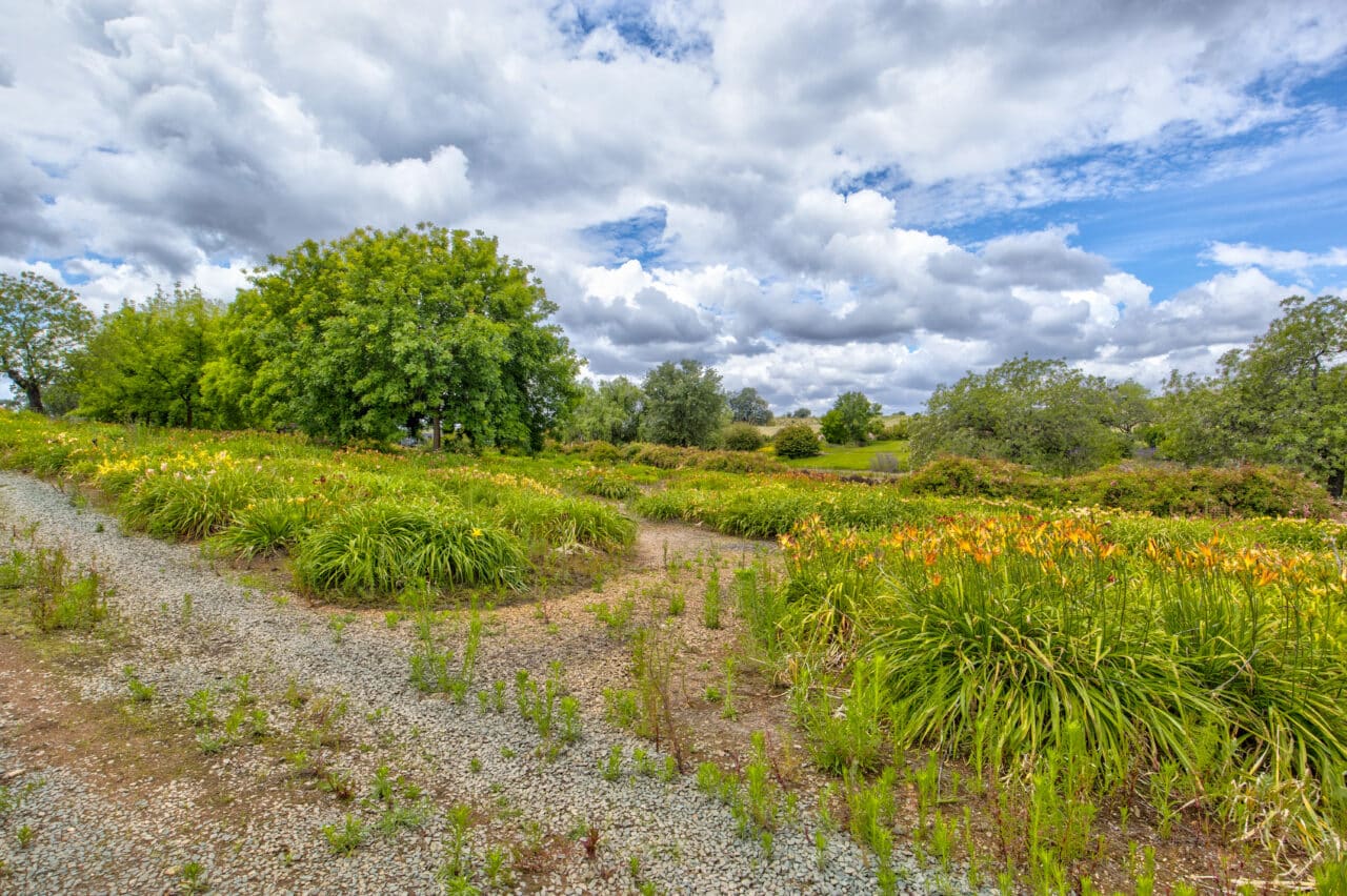 Listing Image 64