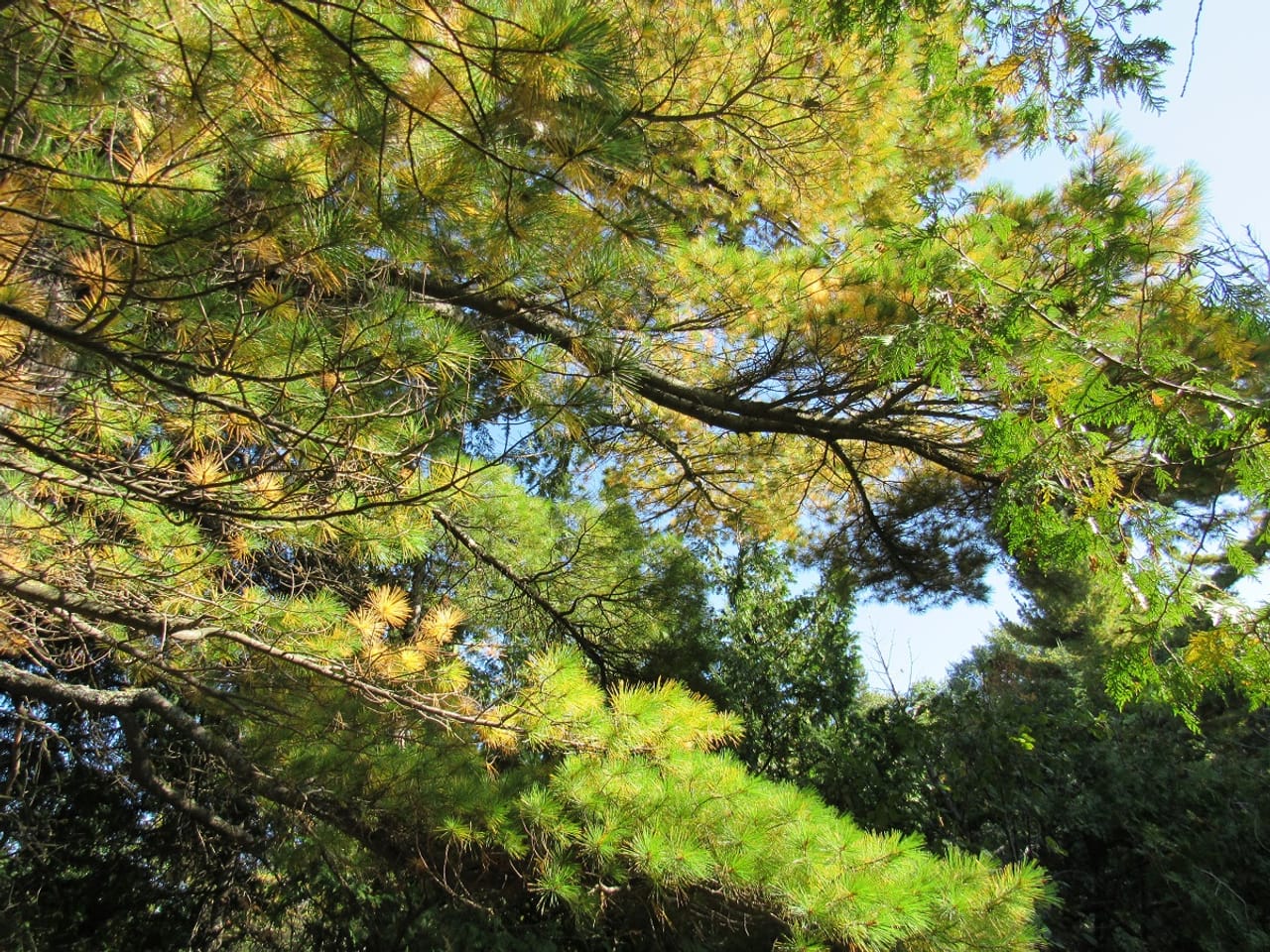 Listing Image 55