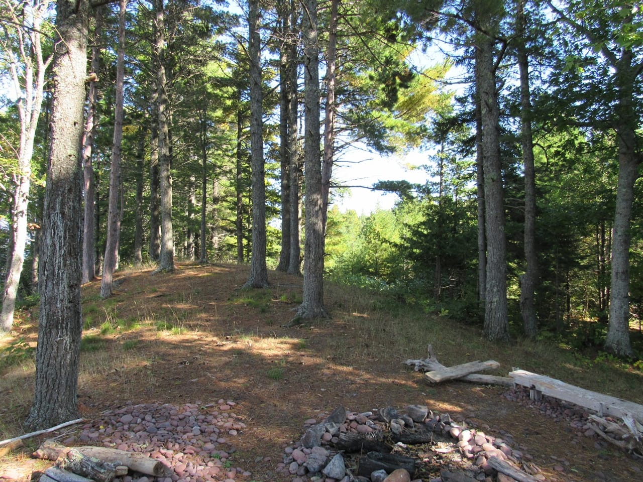 Listing Image 62