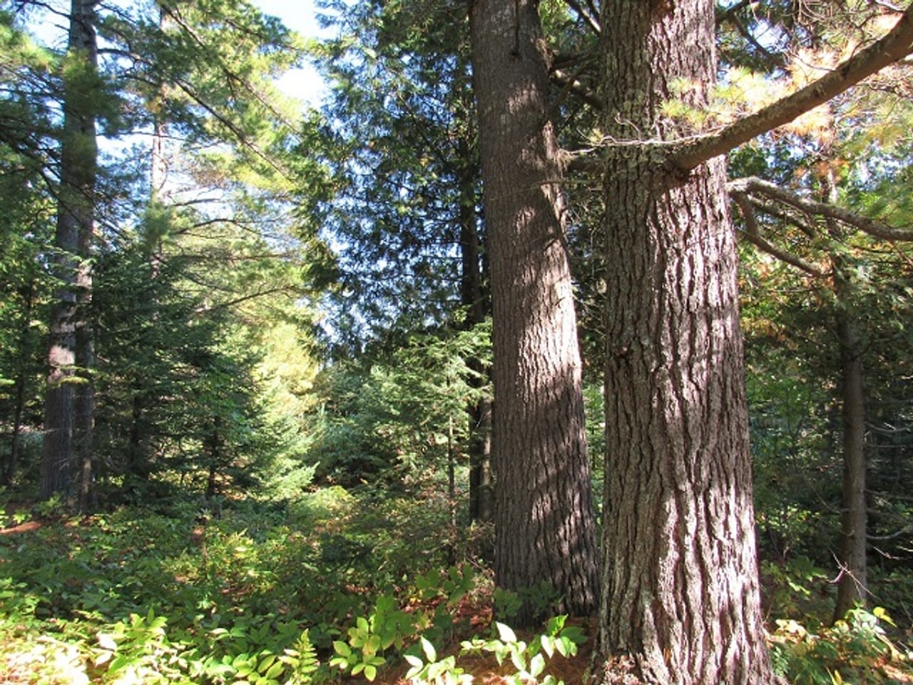 Listing Image 28