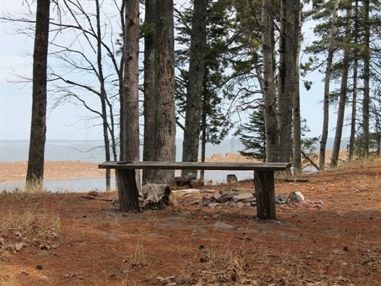 Listing Image 45
