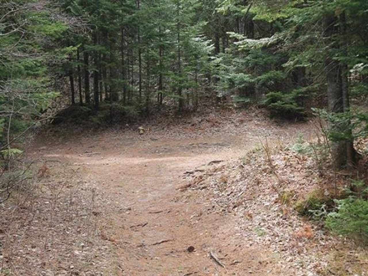 Listing Image 52