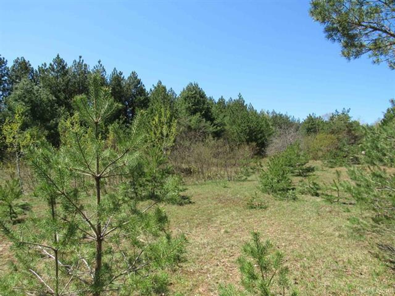Listing Image 46