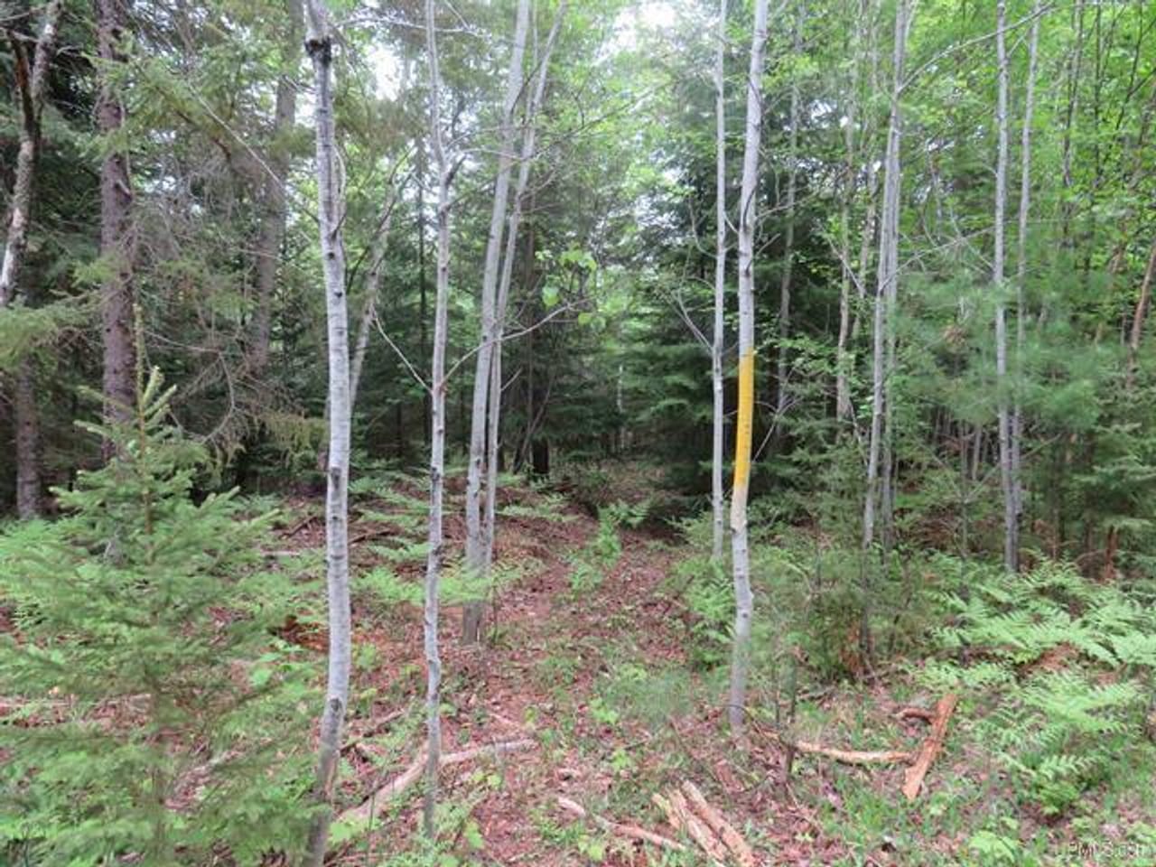 Listing Image 55