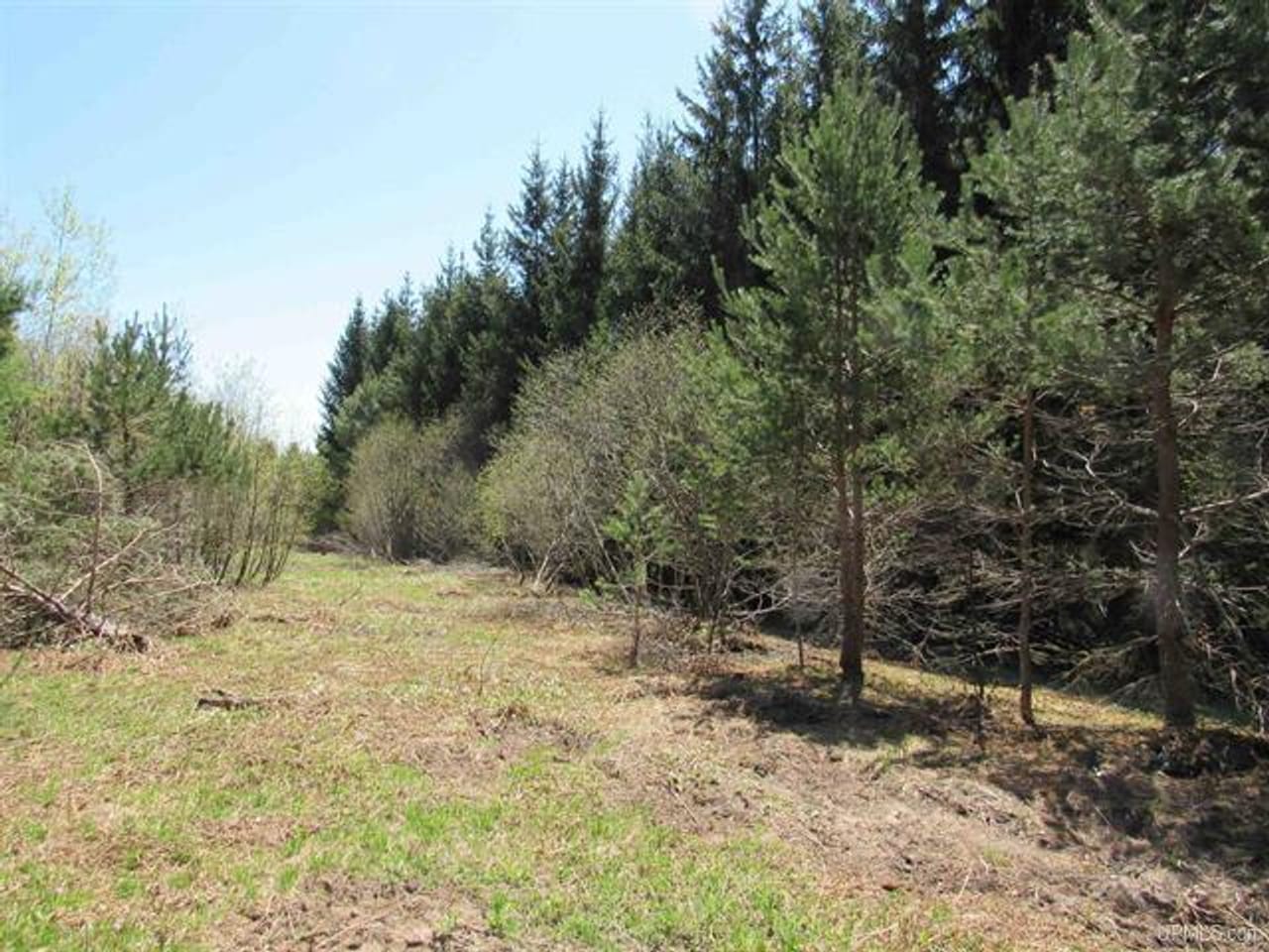 Listing Image 58