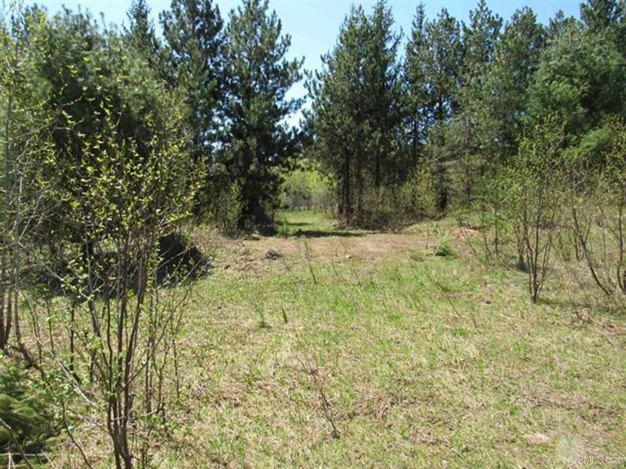 Listing Image 59