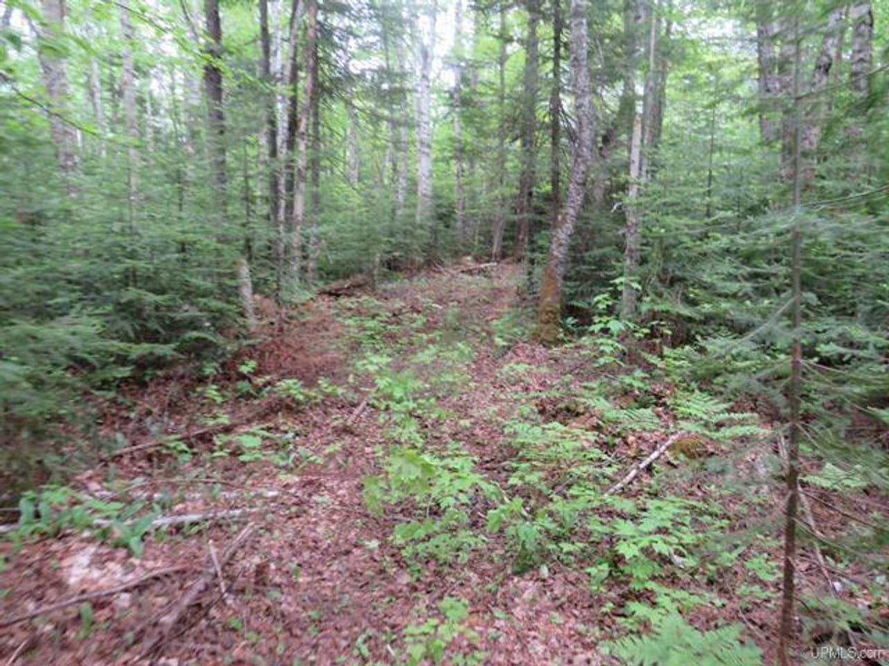 Listing Image 68