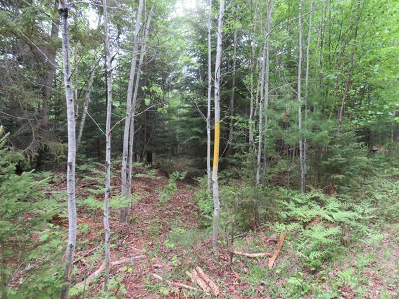 Listing Image 69