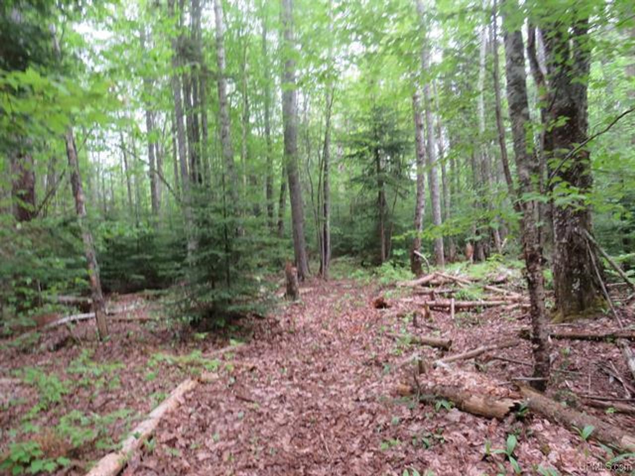 Listing Image 70