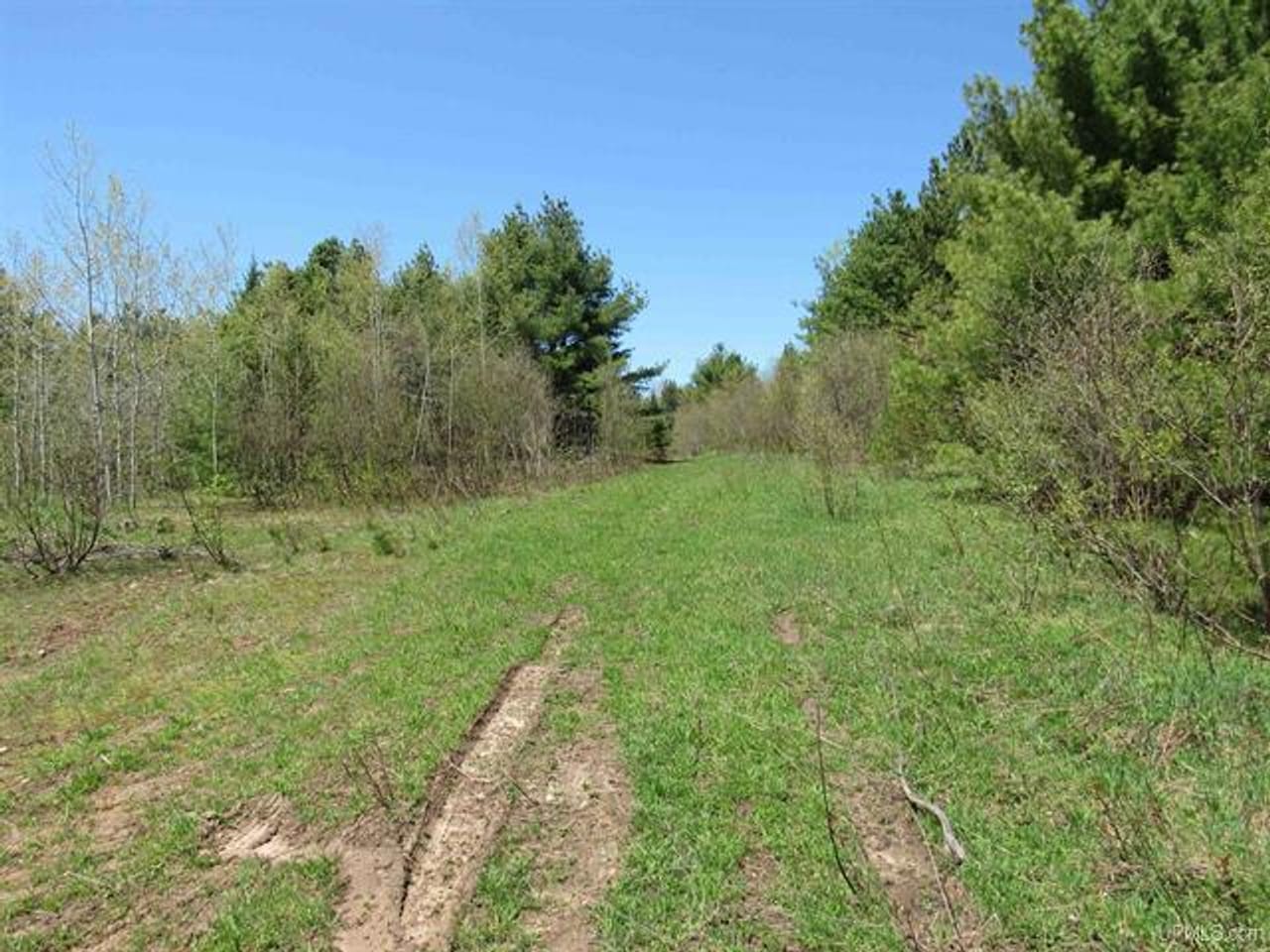 Listing Image 73