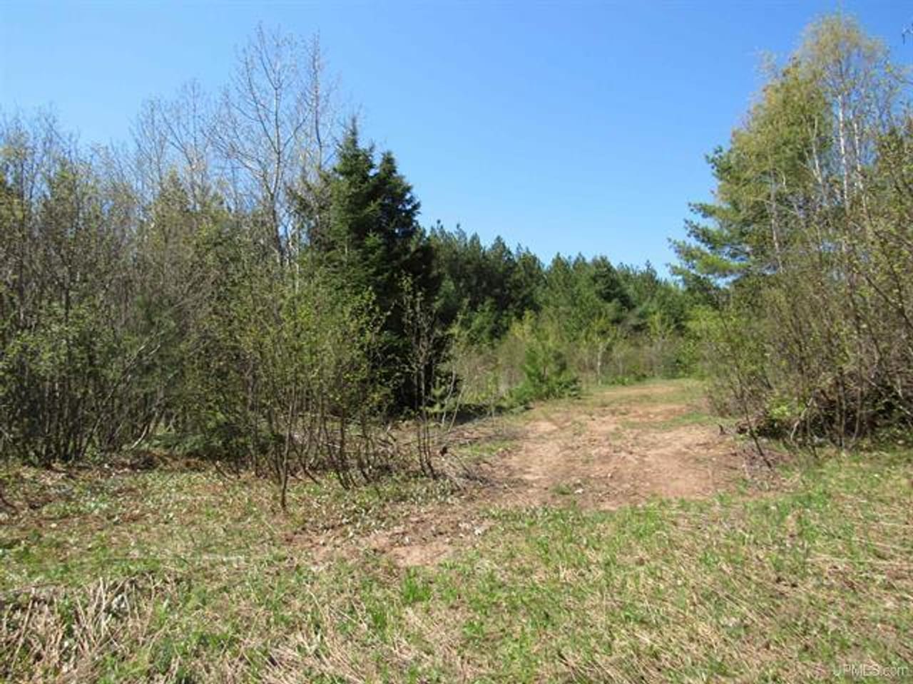 Listing Image 25