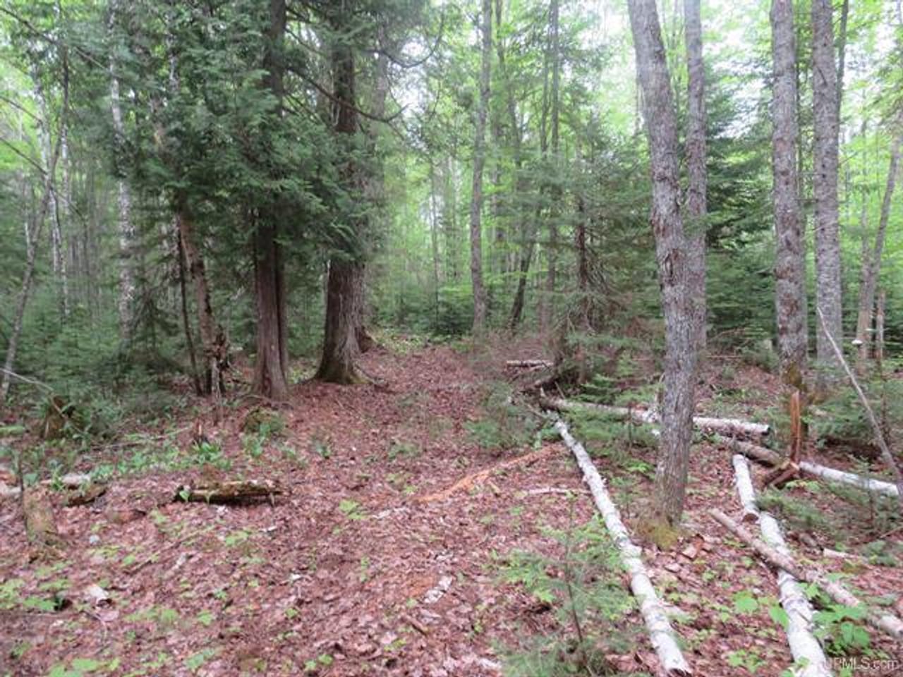 Listing Image 47