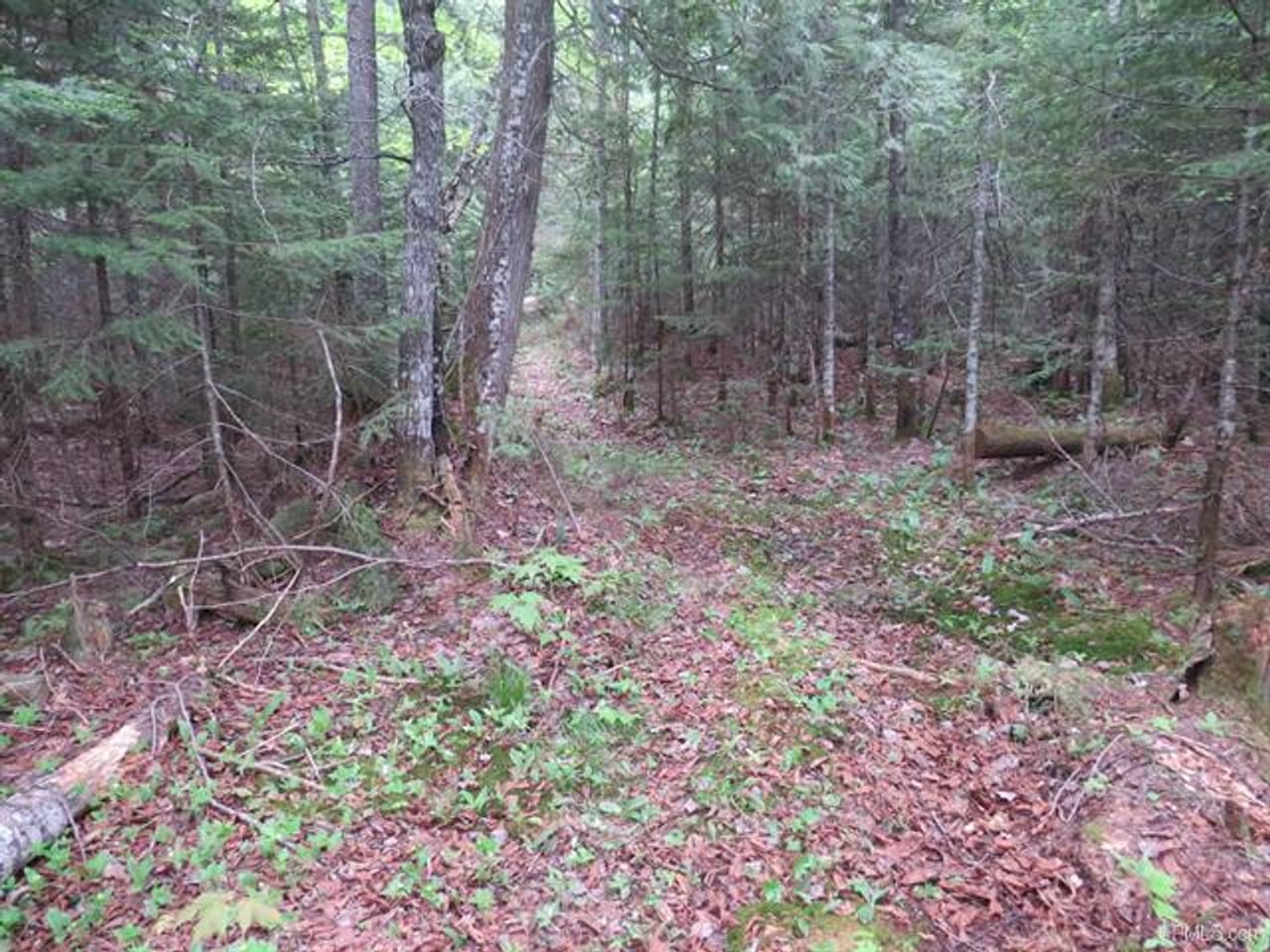 Listing Image 54