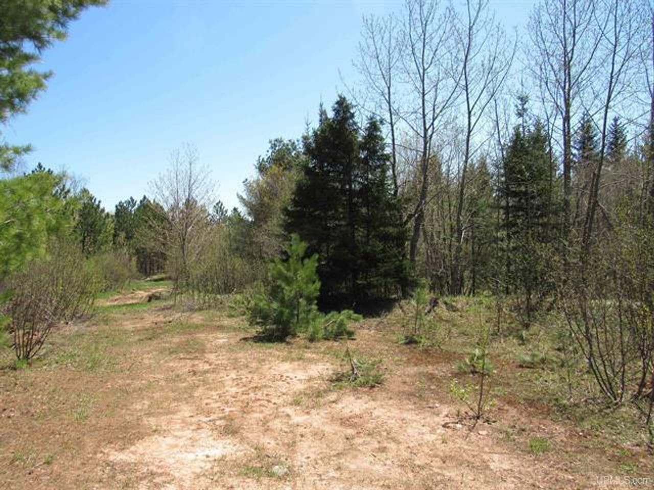 Listing Image 75