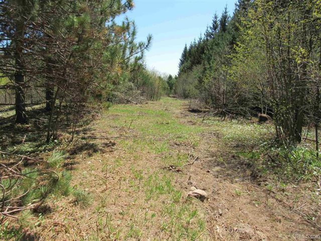 Listing Image 78