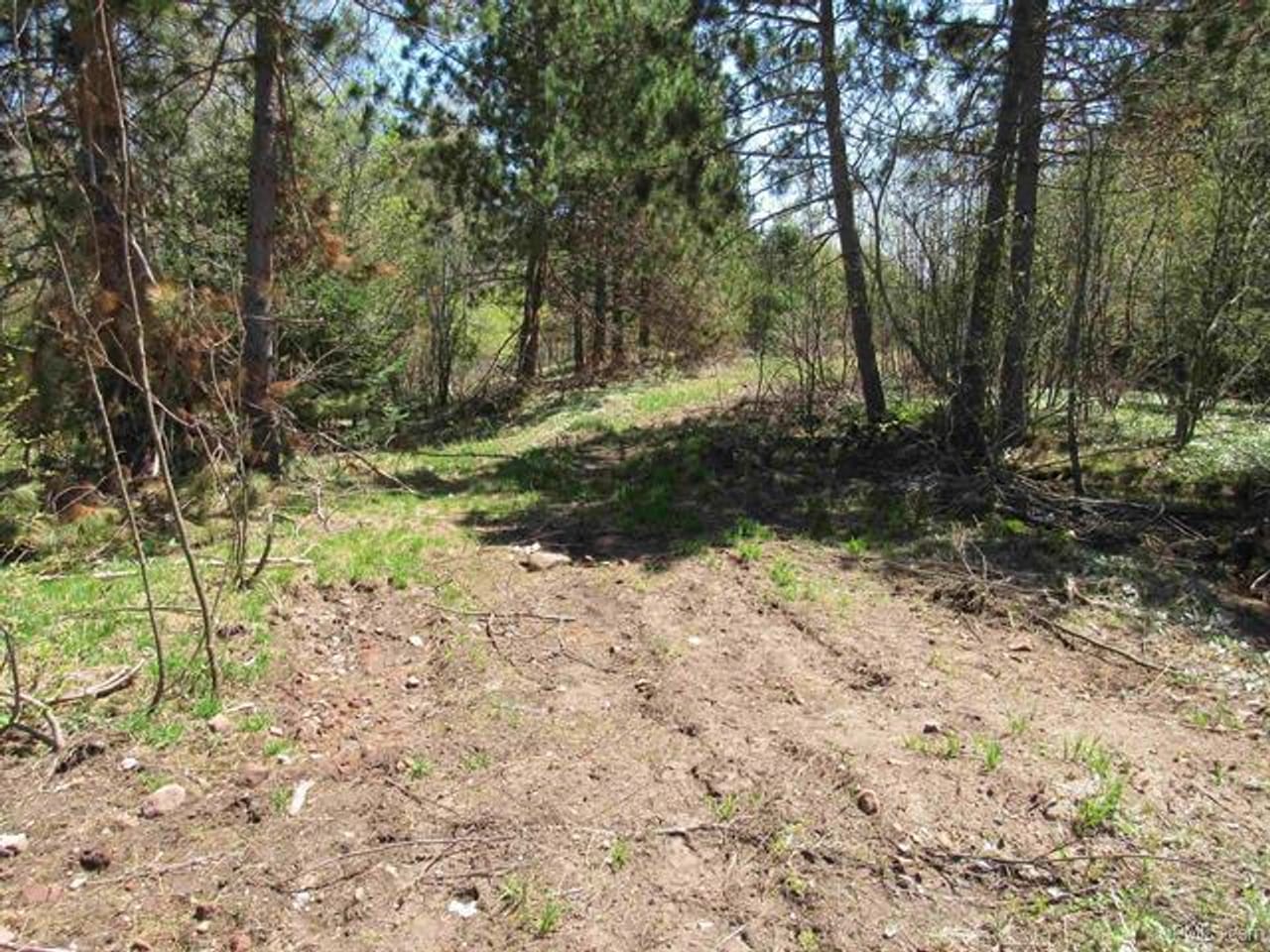 Listing Image 79