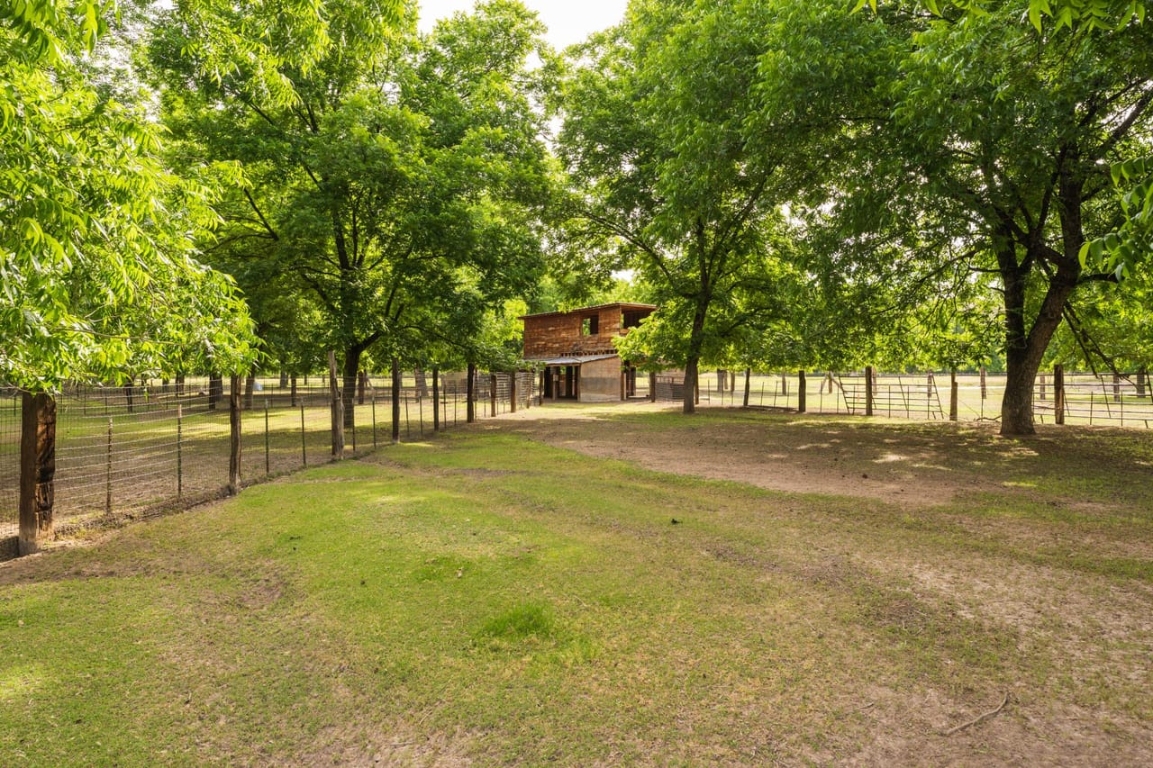 Listing Image 35