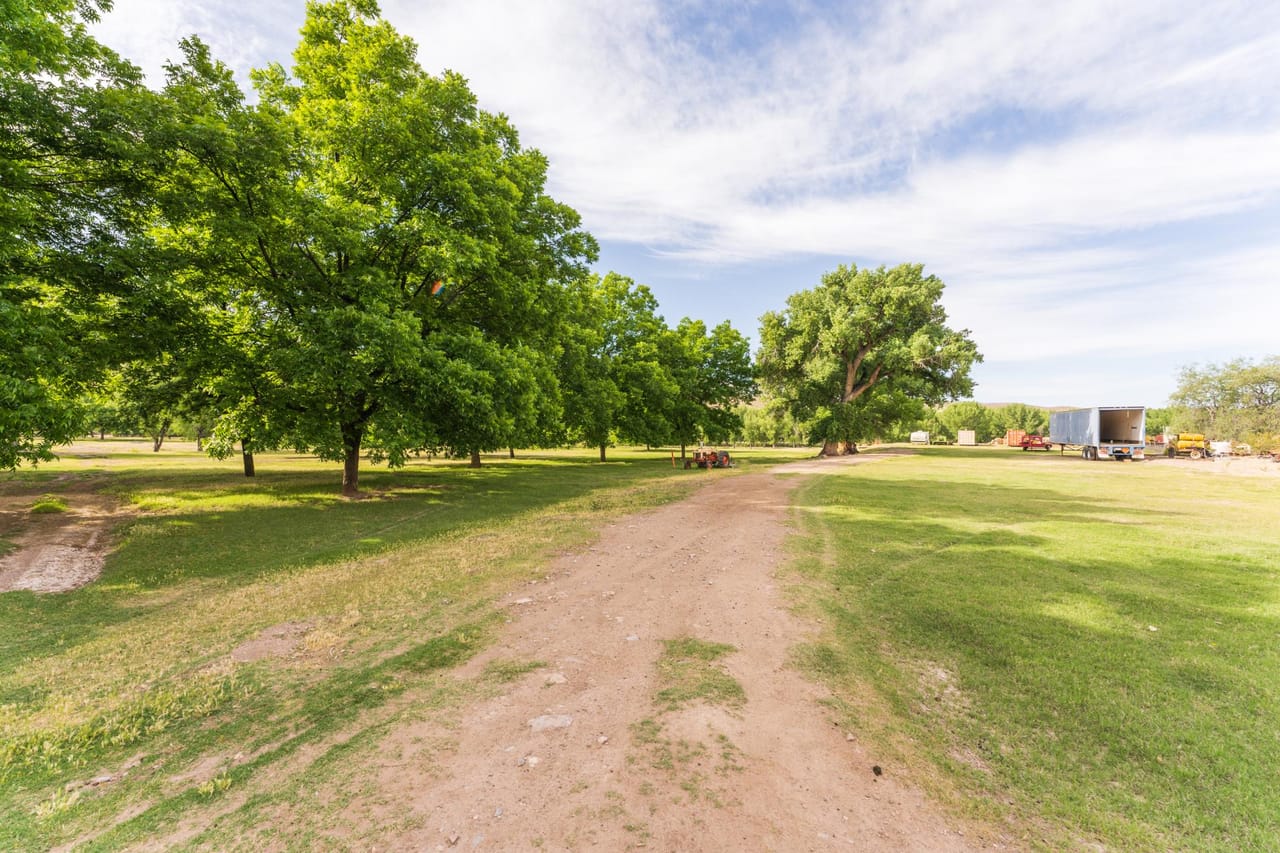 Listing Image 52