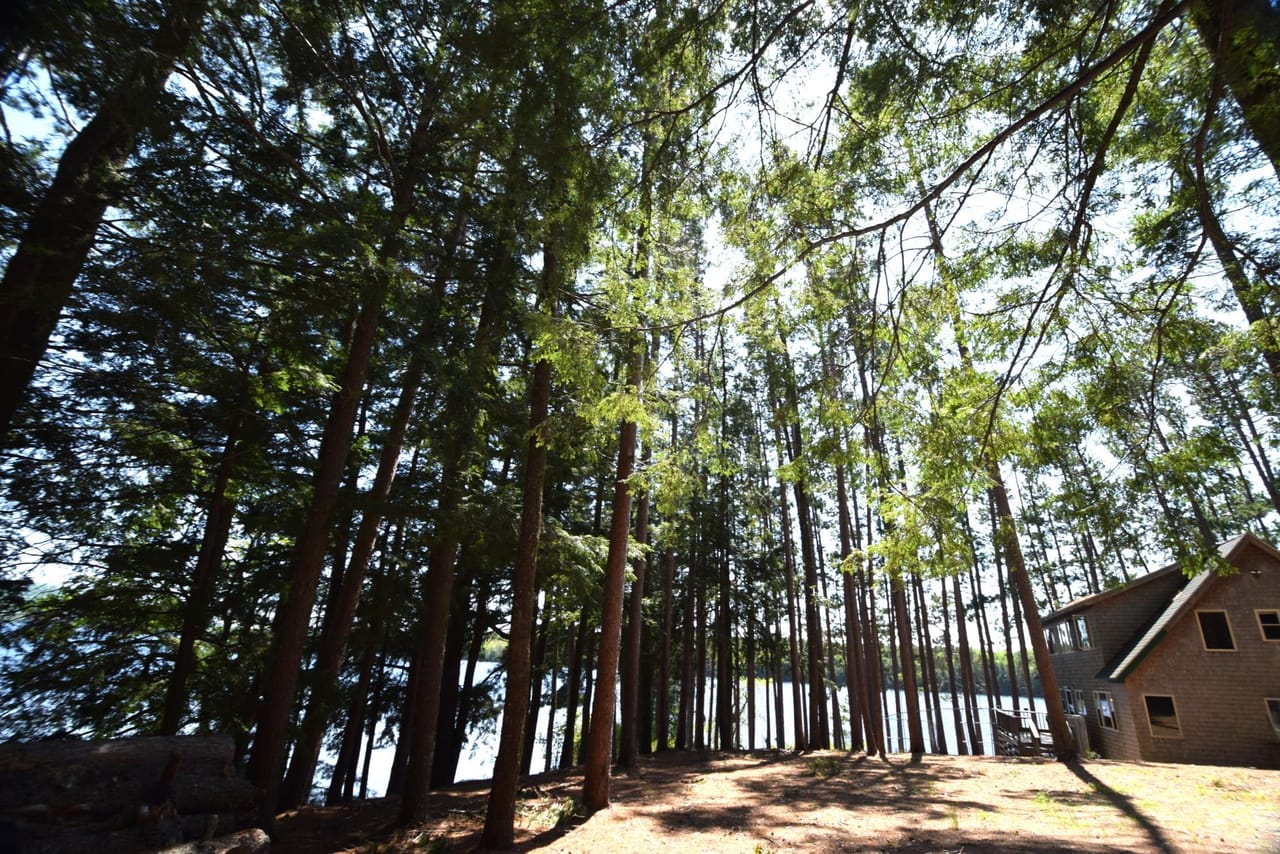 Burnt Point Sanctuary on Wabassus Lake