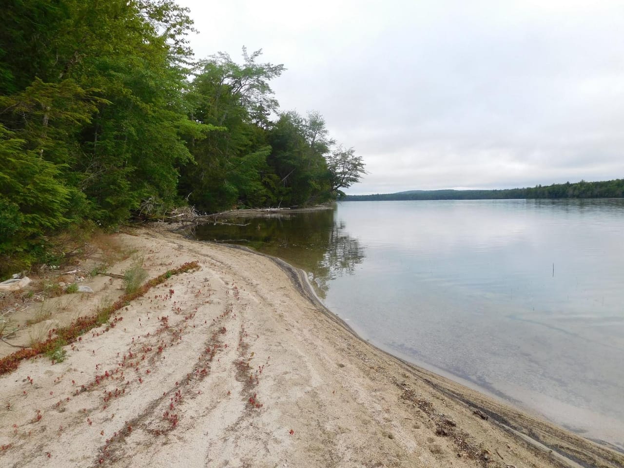 Burnt Point Sanctuary on Wabassus Lake