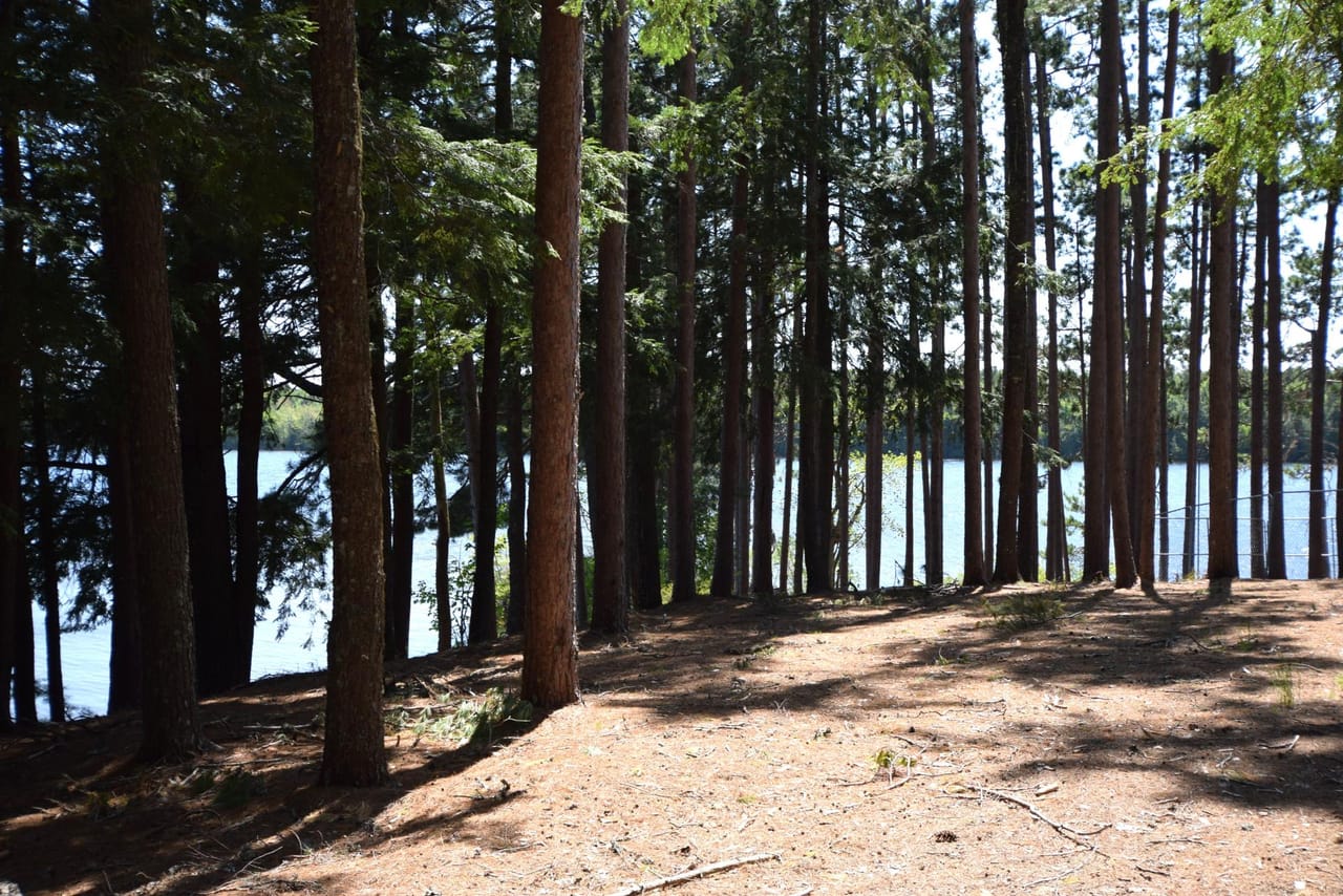 Burnt Point Sanctuary on Wabassus Lake