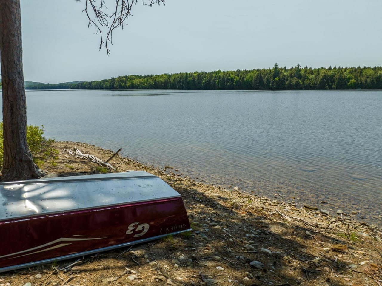 Burnt Point Sanctuary on Wabassus Lake