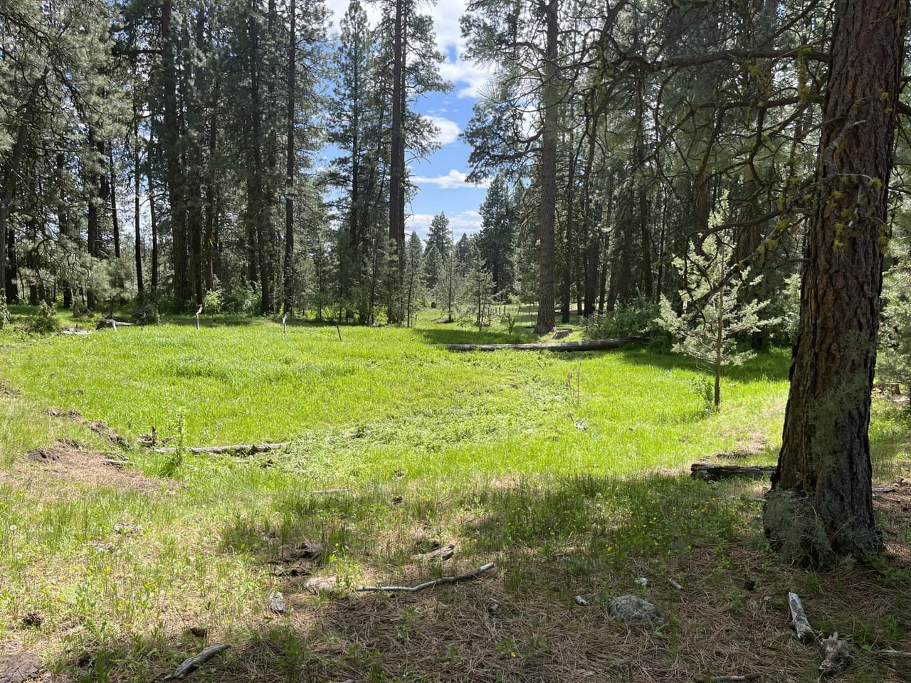 Listing Image 30