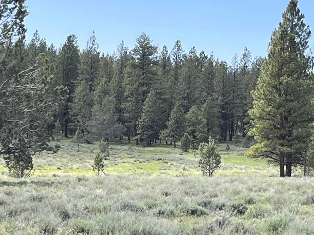 Listing Image 42