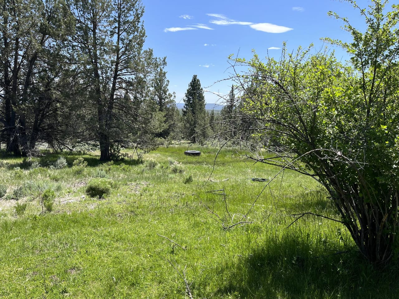 Listing Image 44