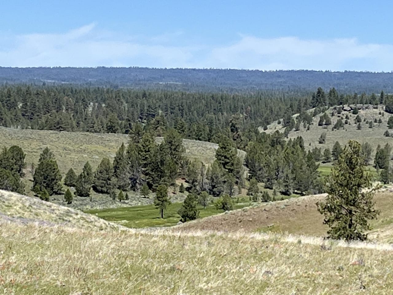 Listing Image 60