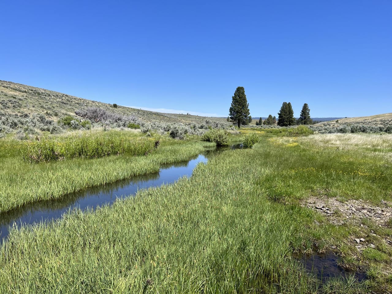 Listing Image 64