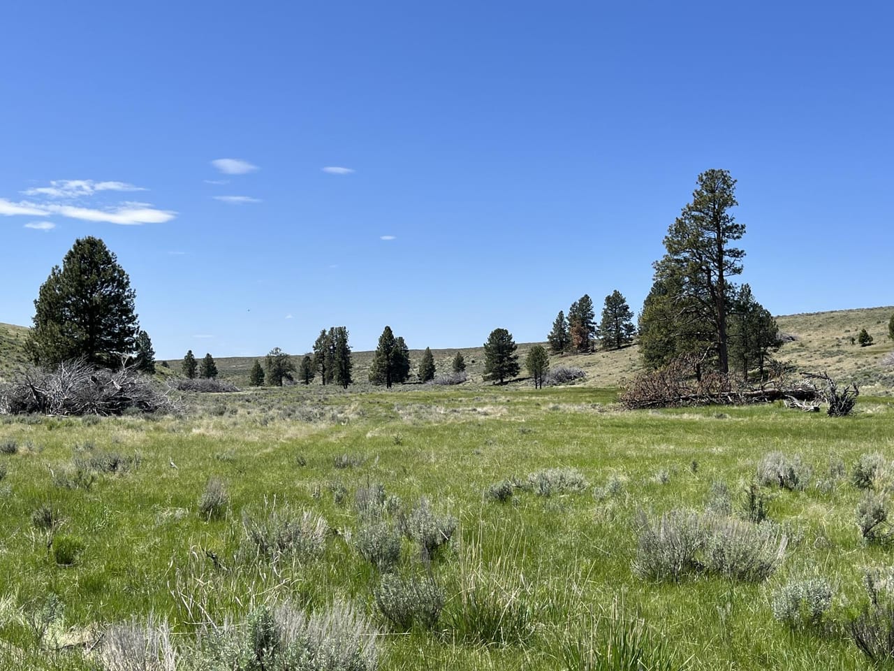 Listing Image 66