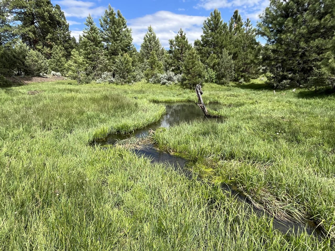 Listing Image 72