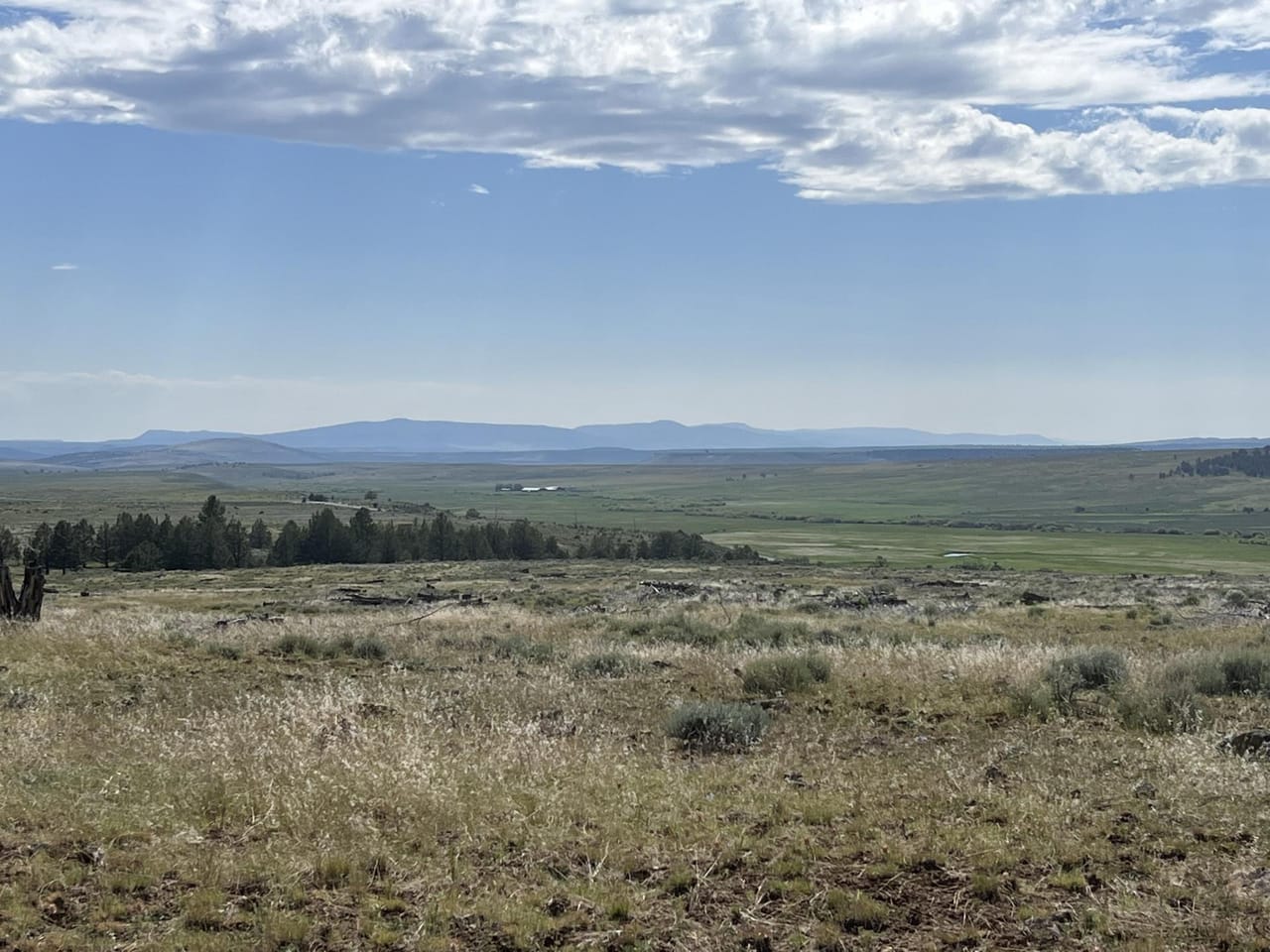 Listing Image 73