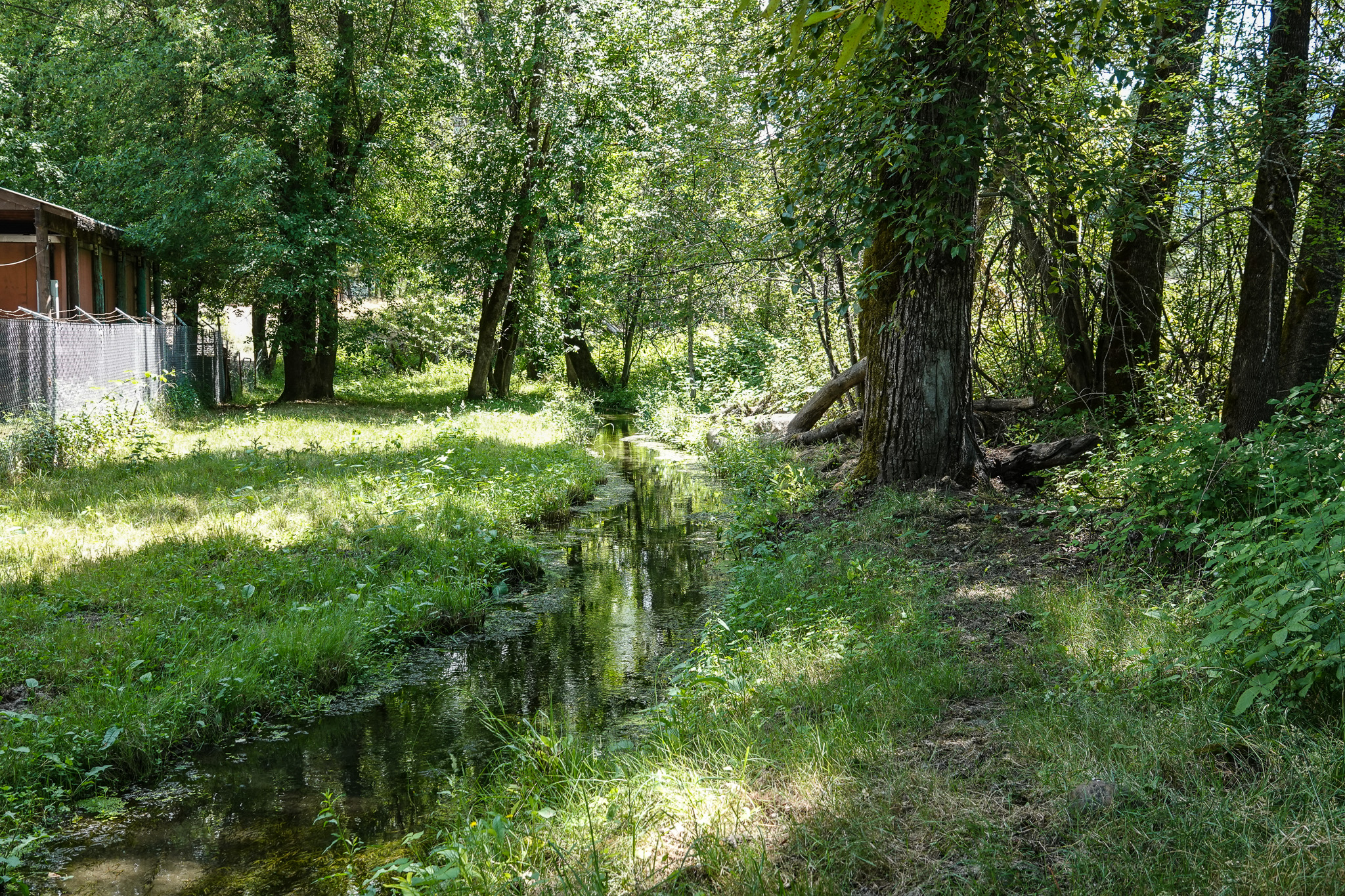 Listing Image 72