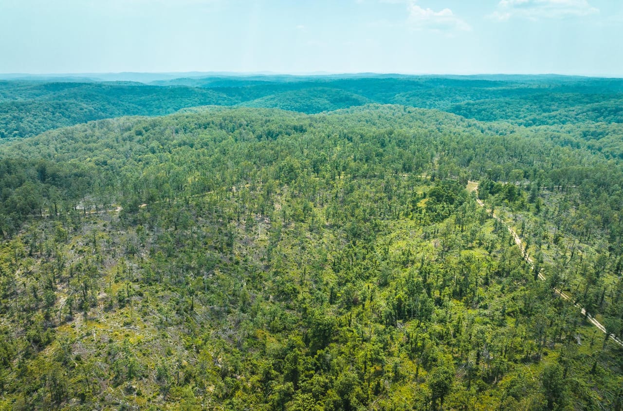 Listing Image 17