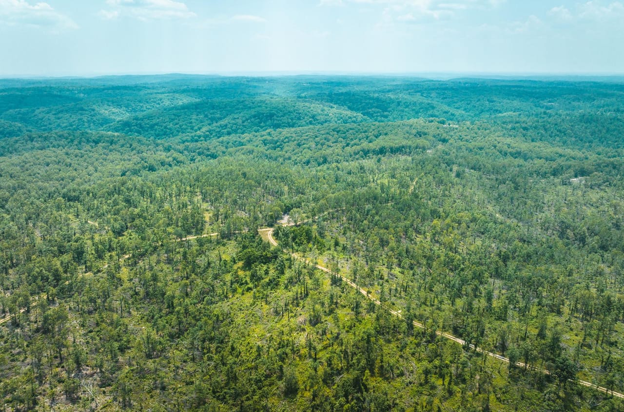 Listing Image 21