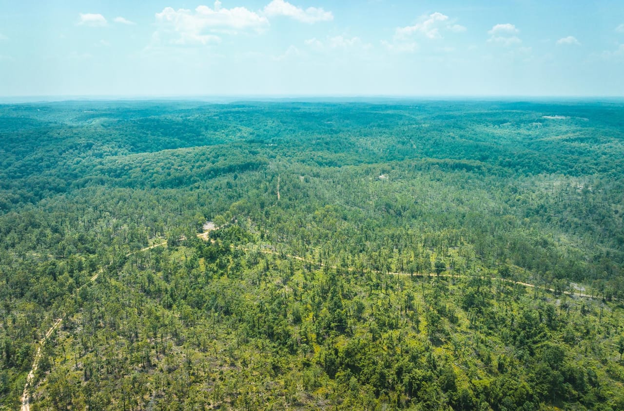 Listing Image 9