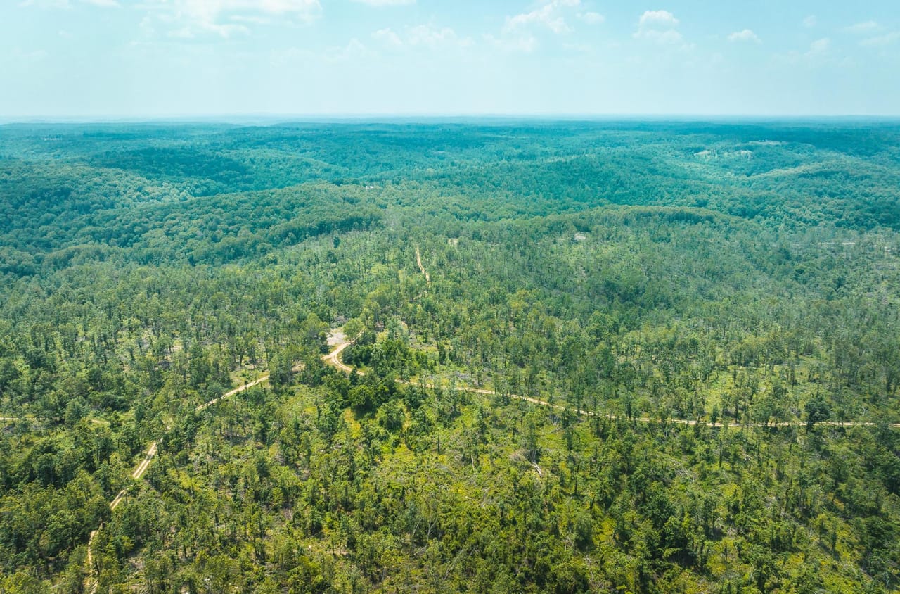 Listing Image 13