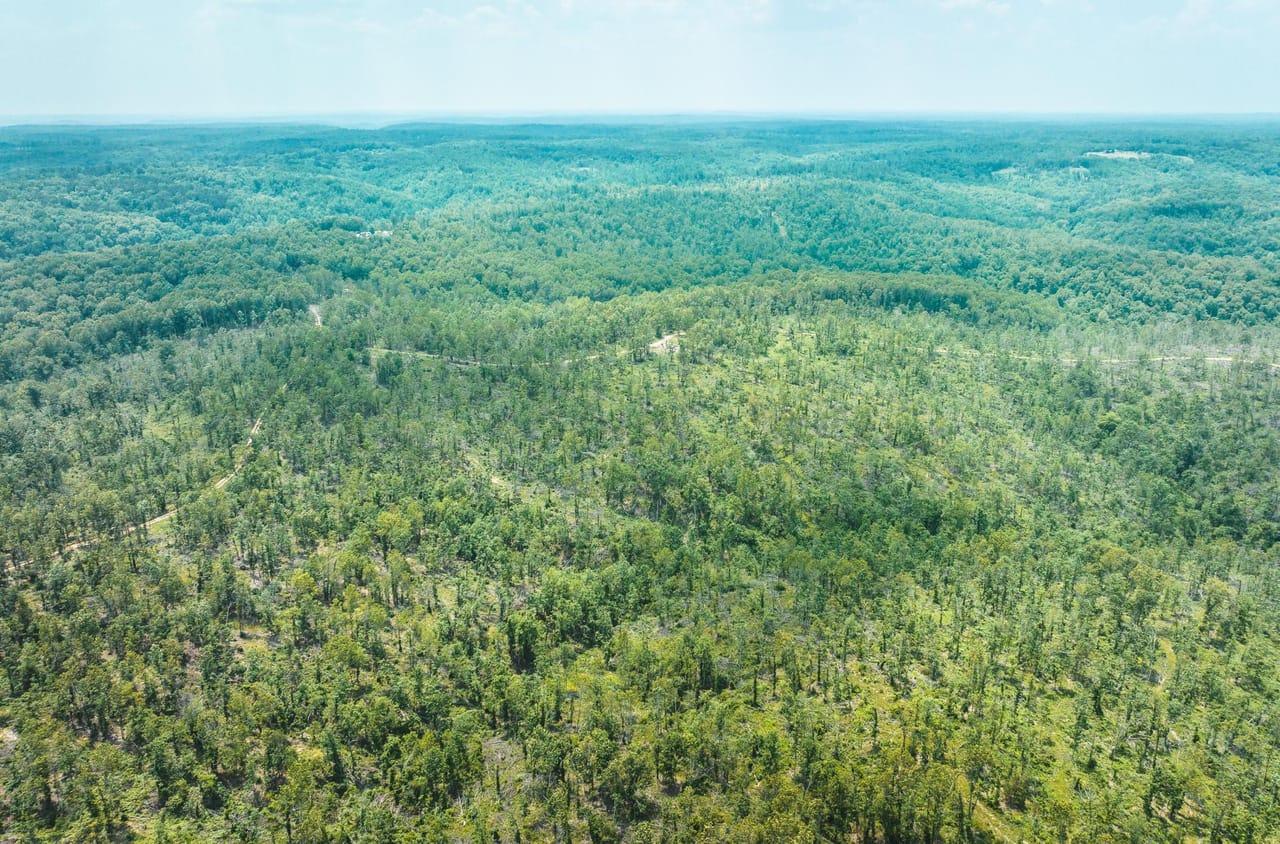 Listing Image 14