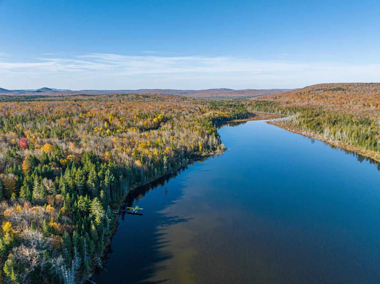 Listing Image 80