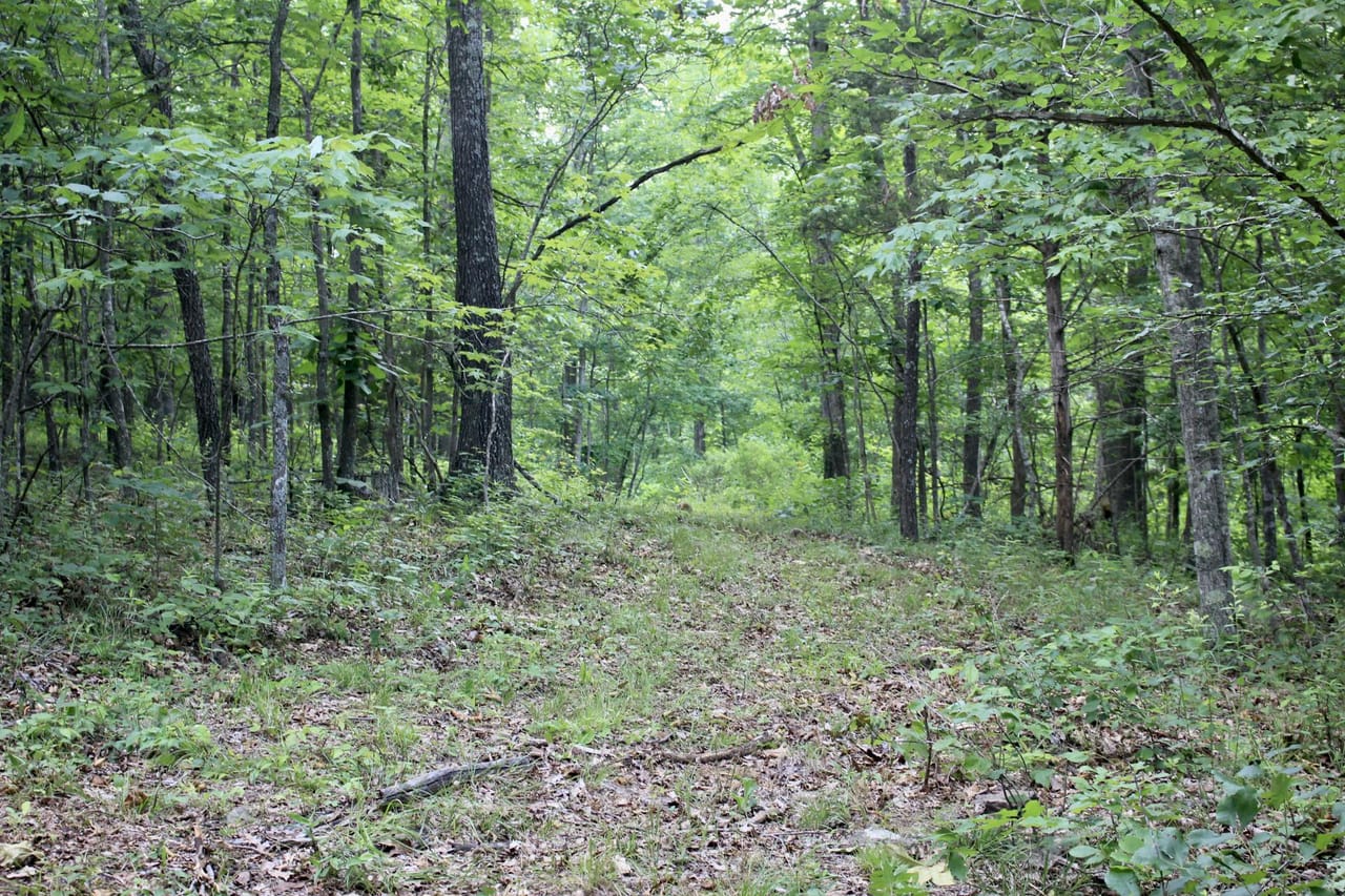 Listing Image 23