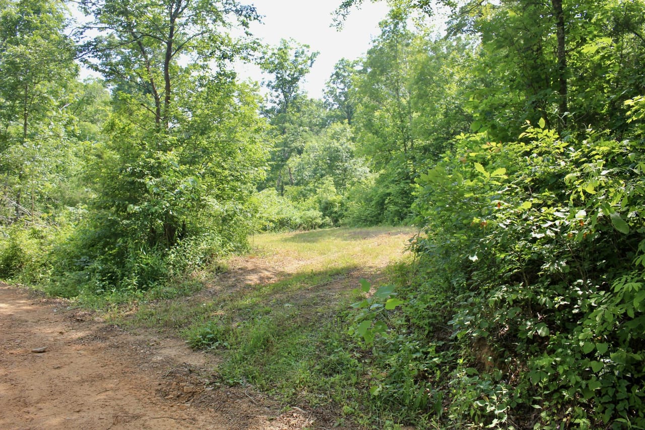 Listing Image 24