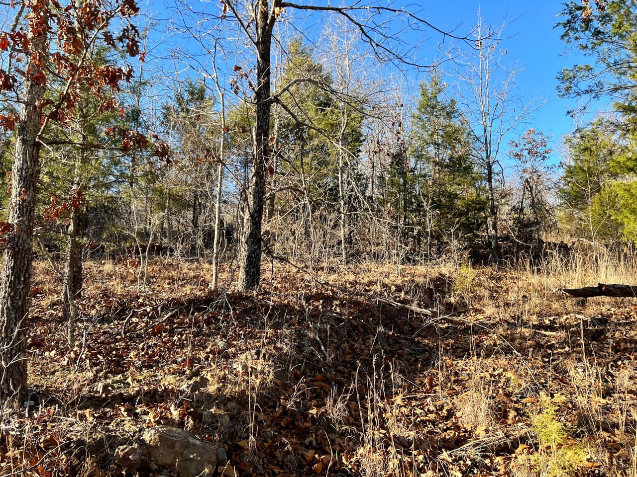 Listing Image 31