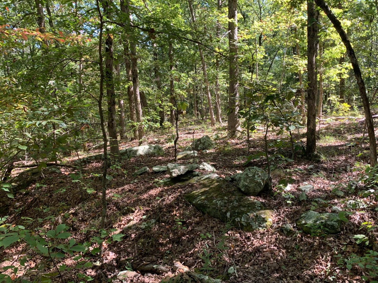 Listing Image 39