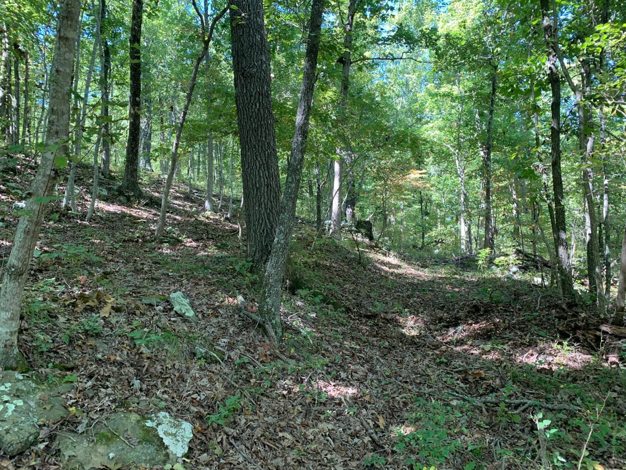 Listing Image 41